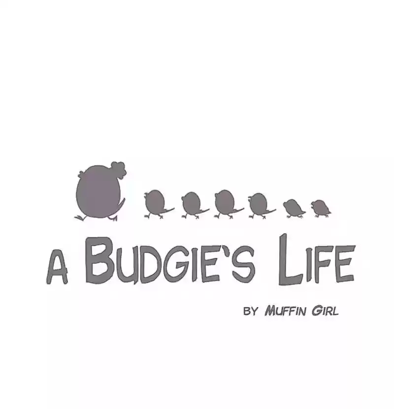 A Budgie's Life Chapter 156: Ep.155: