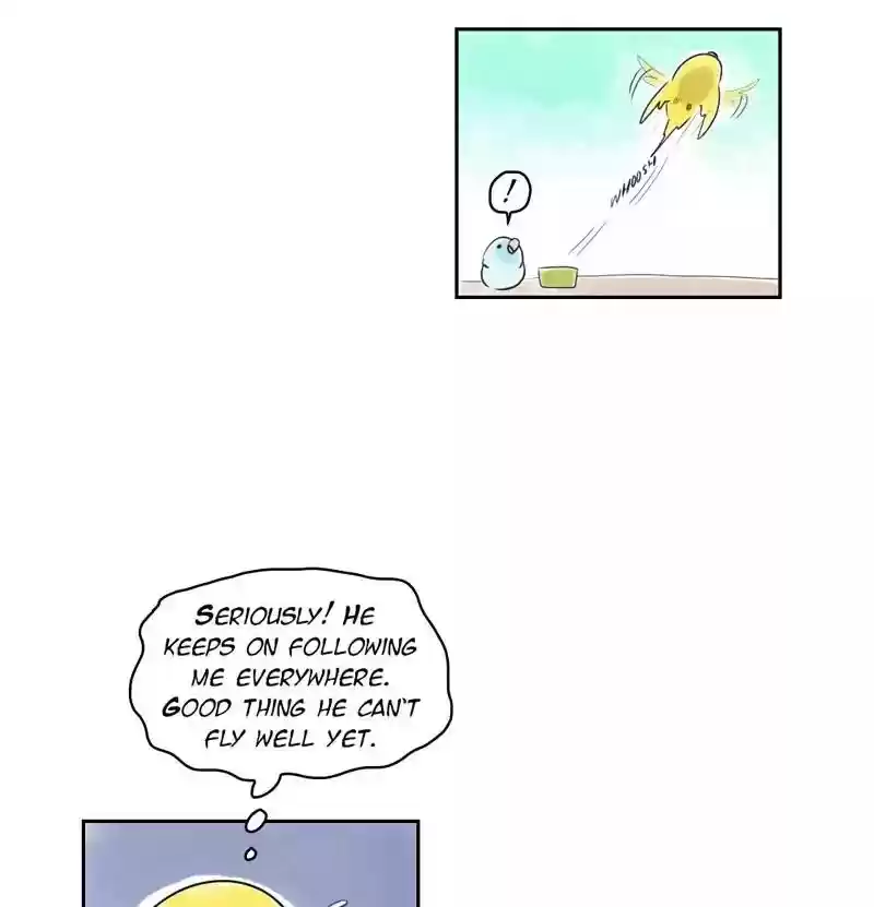 A Budgie's Life Chapter 156: Ep.155:
