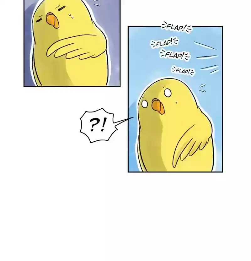 A Budgie's Life Chapter 156: Ep.155: