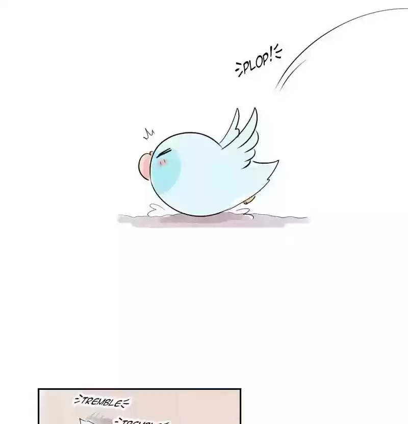 A Budgie's Life Chapter 156: Ep.155: