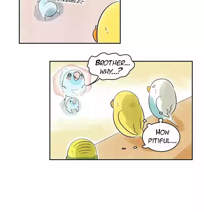 A Budgie's Life Chapter 156: Ep.155: