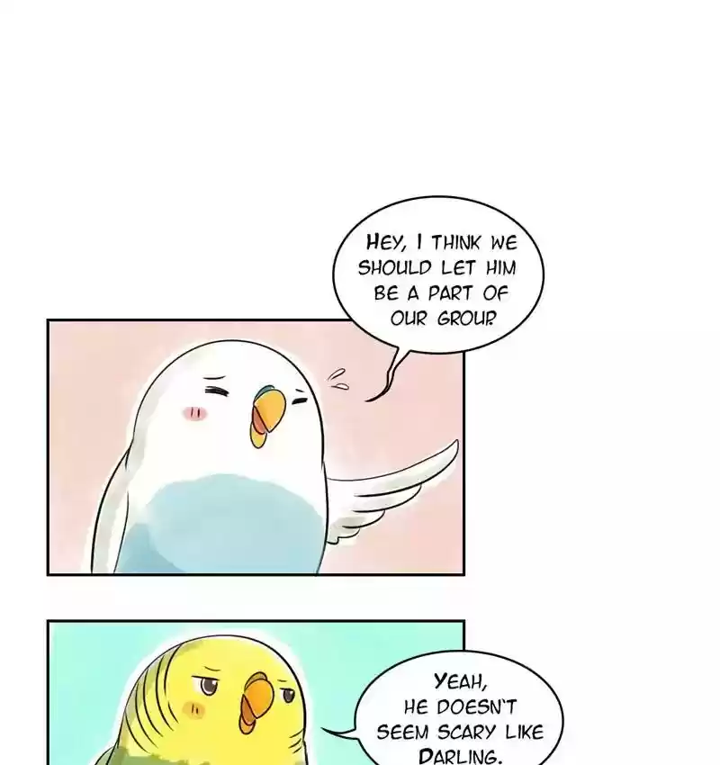 A Budgie's Life Chapter 156: Ep.155: