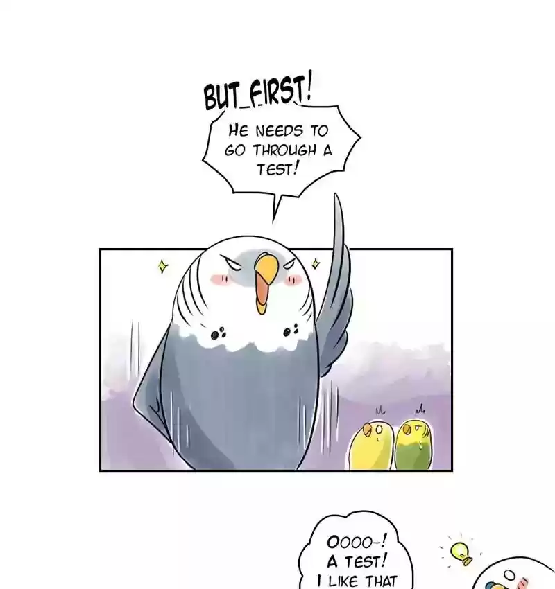 A Budgie's Life Chapter 156: Ep.155: