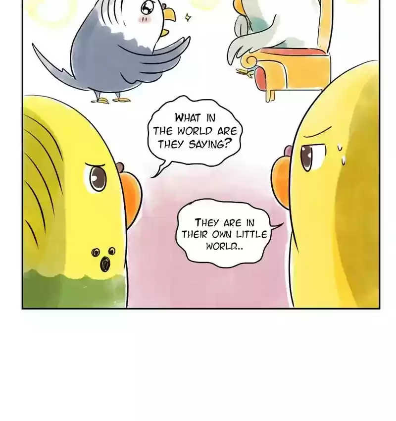 A Budgie's Life Chapter 156: Ep.155: