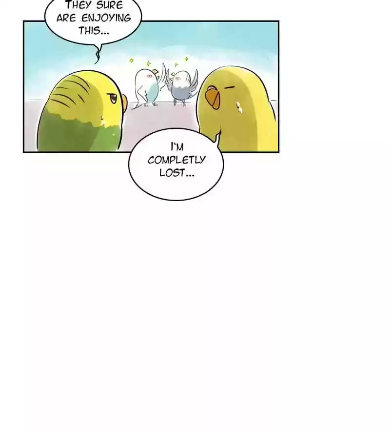 A Budgie's Life Chapter 156: Ep.155: