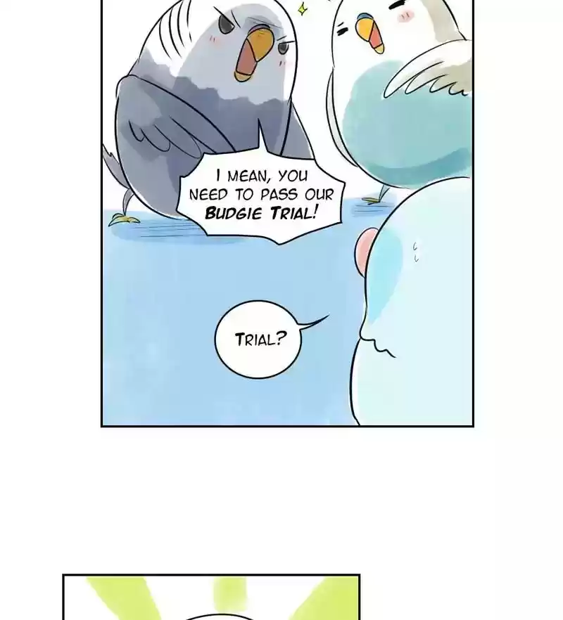 A Budgie's Life Chapter 156: Ep.155:
