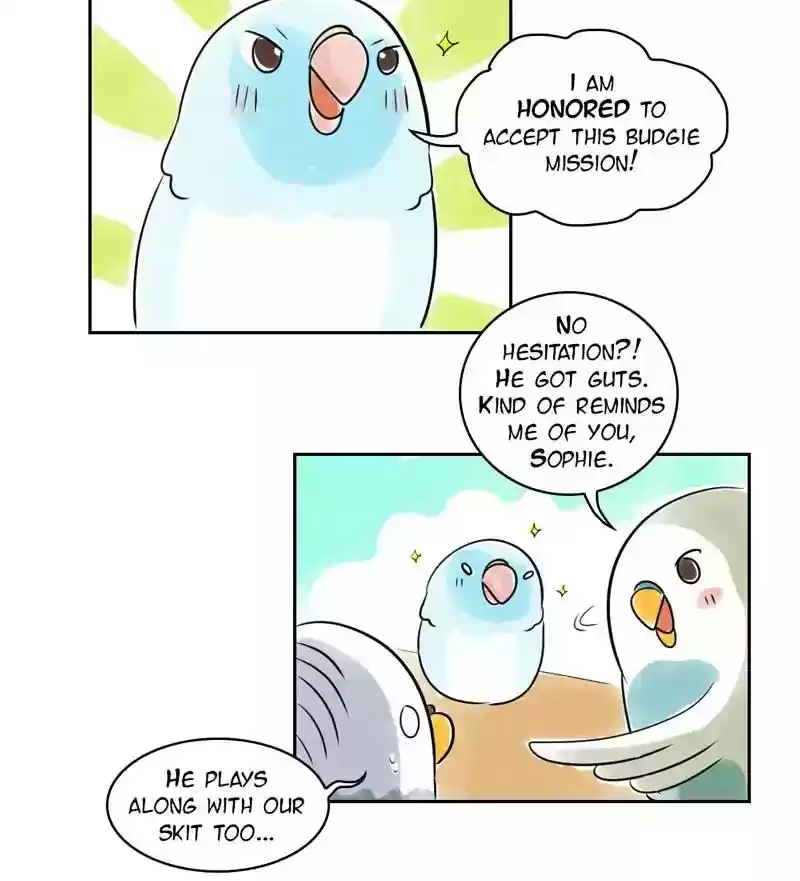 A Budgie's Life Chapter 156: Ep.155: