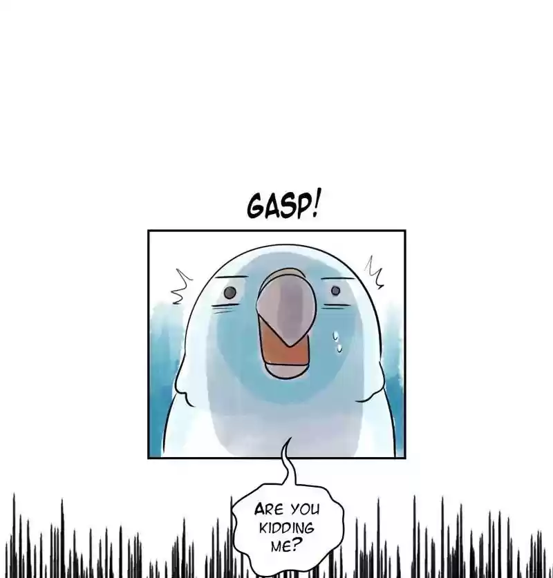 A Budgie's Life Chapter 156: Ep.155: