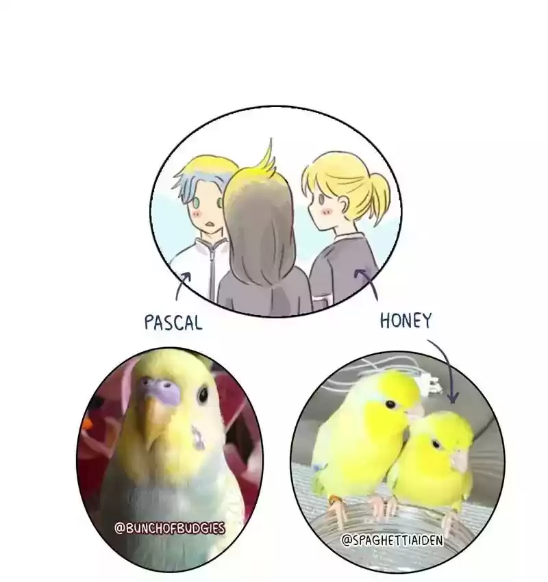 A Budgie's Life Chapter 157: Ep.156: