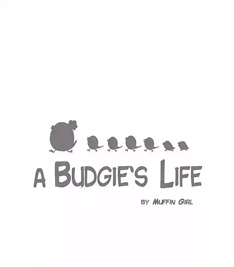 A Budgie's Life Chapter 158: Ep.157: