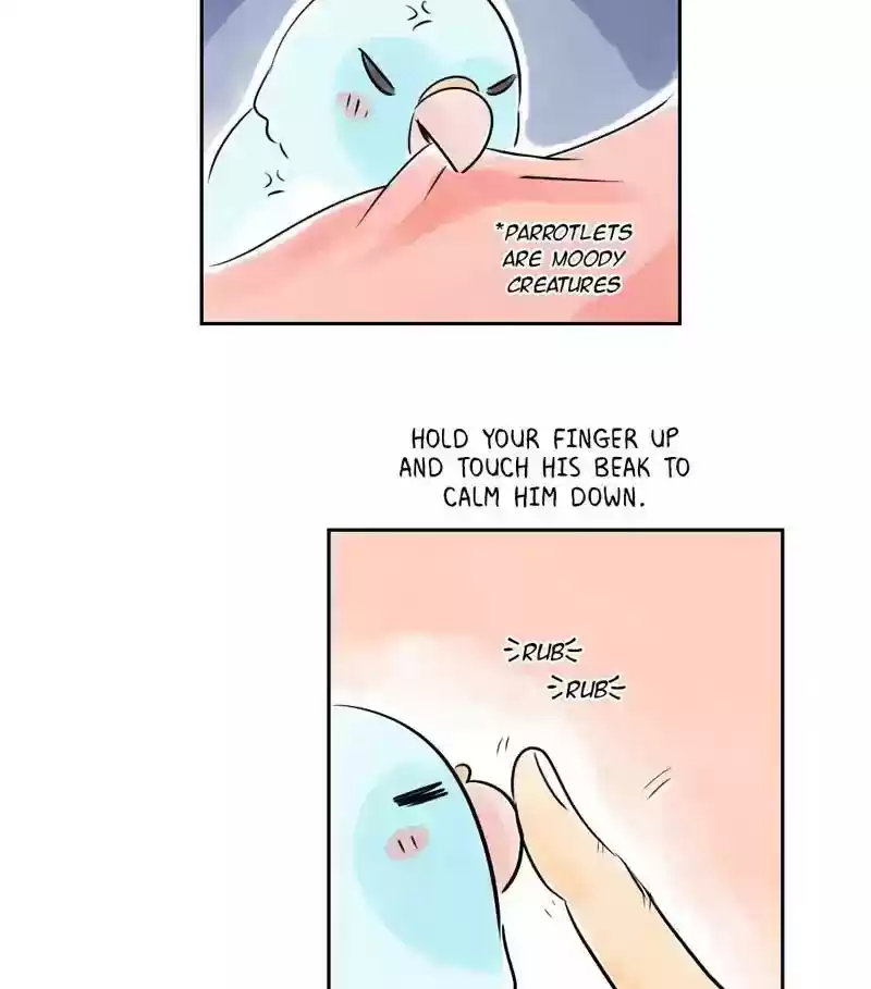 A Budgie's Life Chapter 158: Ep.157: