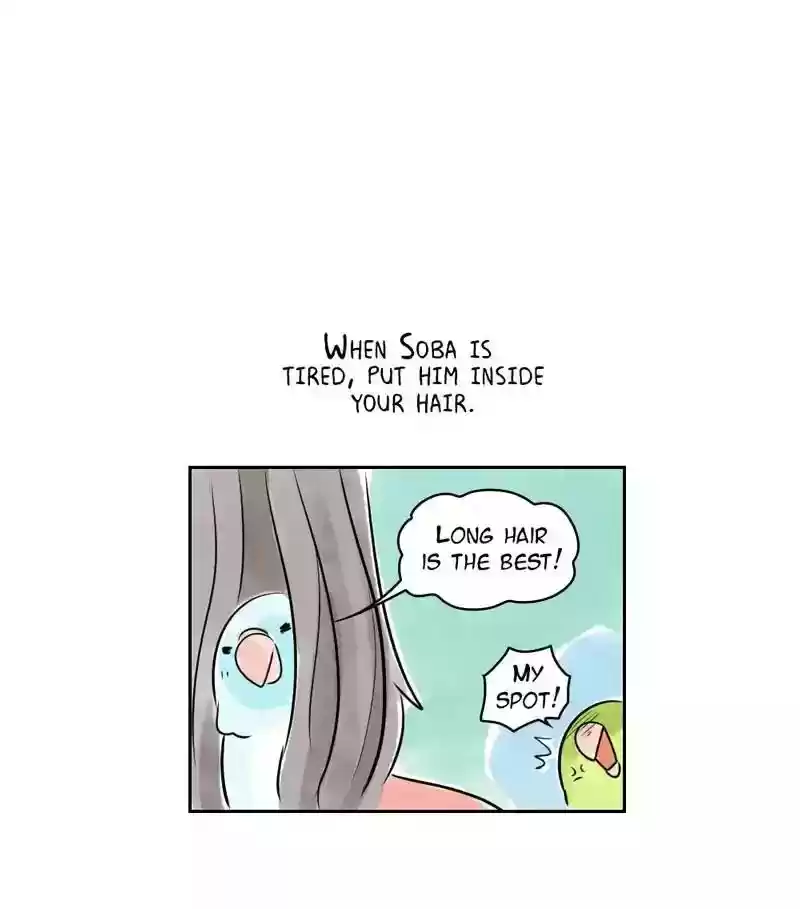 A Budgie's Life Chapter 158: Ep.157: