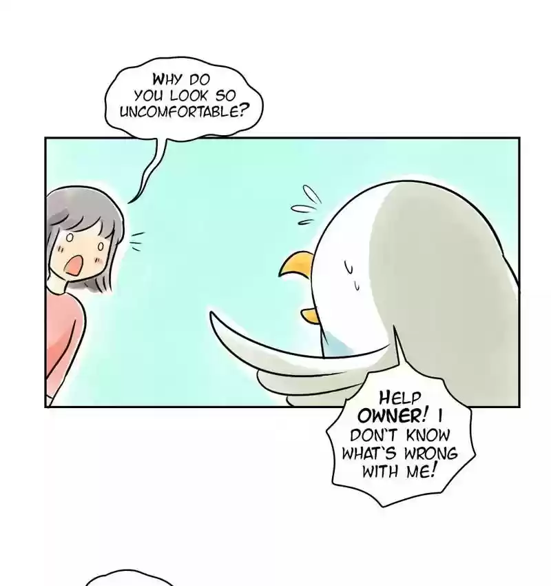 A Budgie's Life Chapter 159: Ep.158: