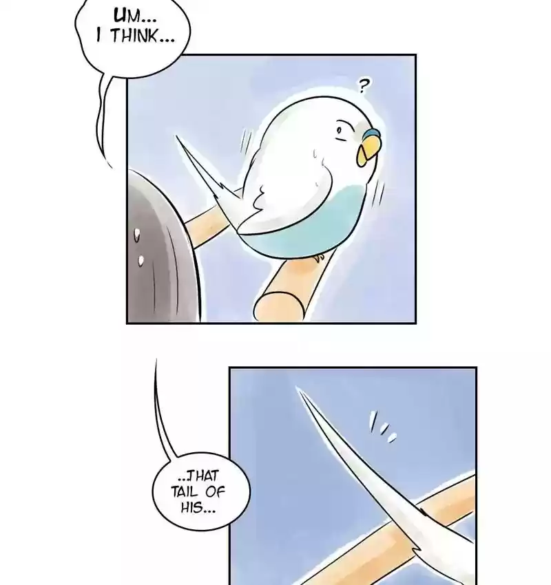 A Budgie's Life Chapter 159: Ep.158: