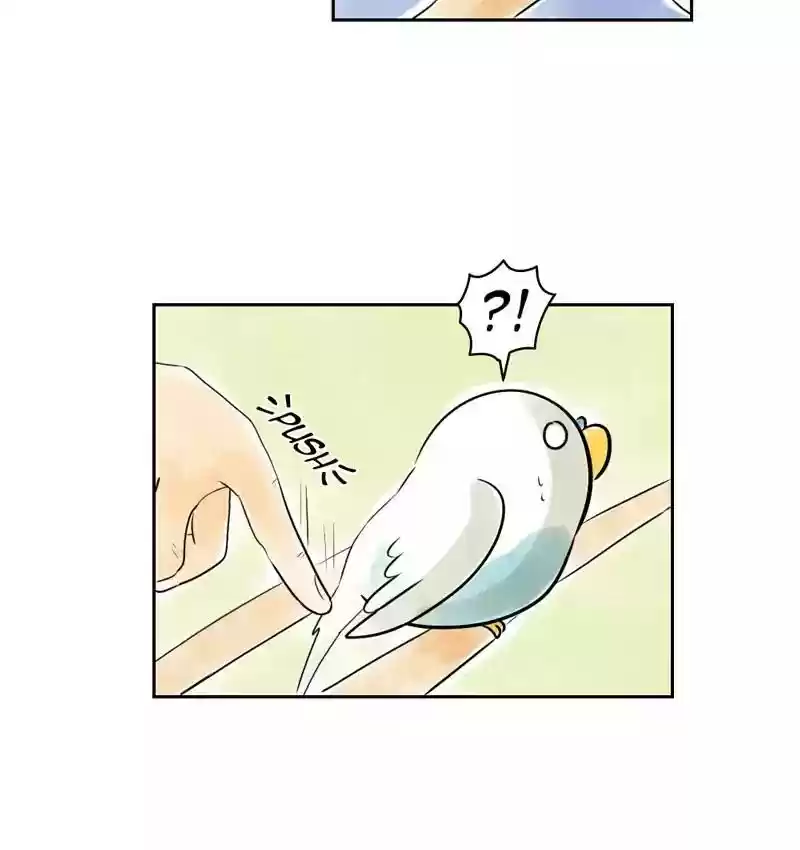A Budgie's Life Chapter 159: Ep.158:
