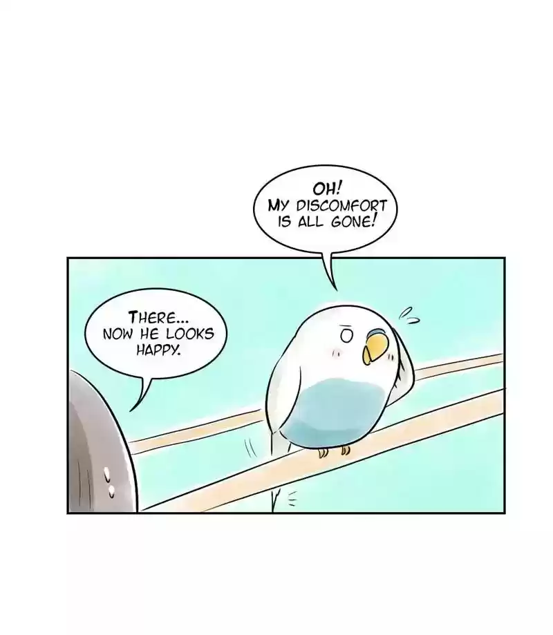 A Budgie's Life Chapter 159: Ep.158: