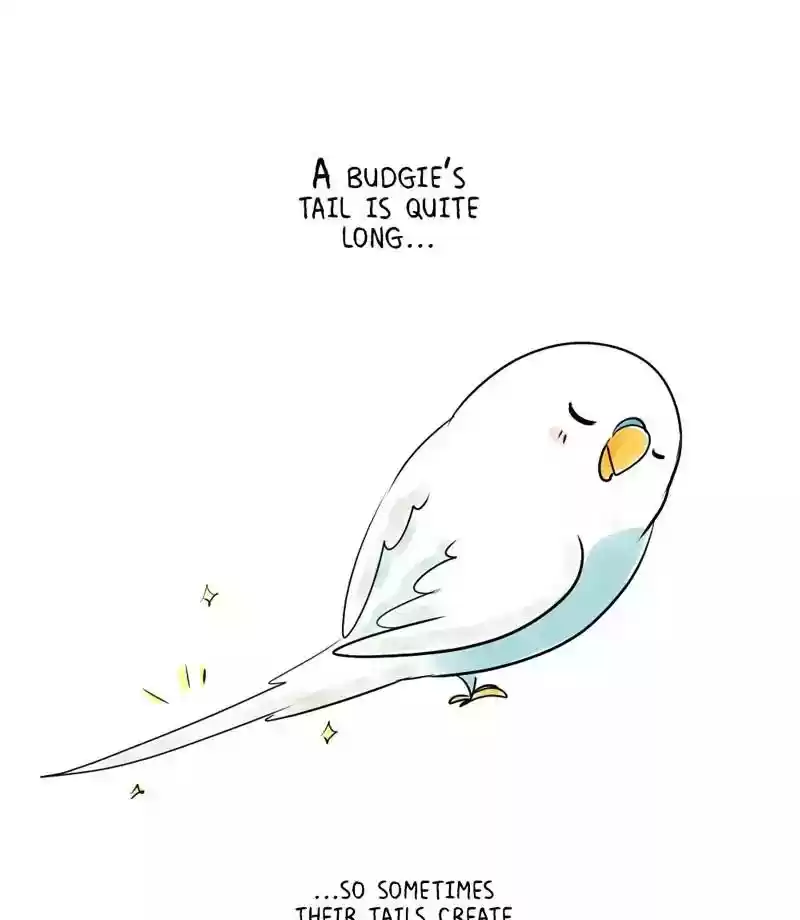 A Budgie's Life Chapter 159: Ep.158: