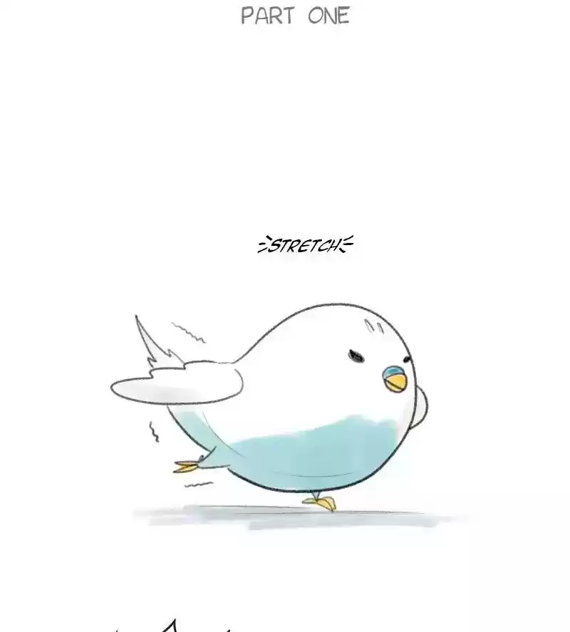 A Budgie's Life Chapter 16: Ep.16: