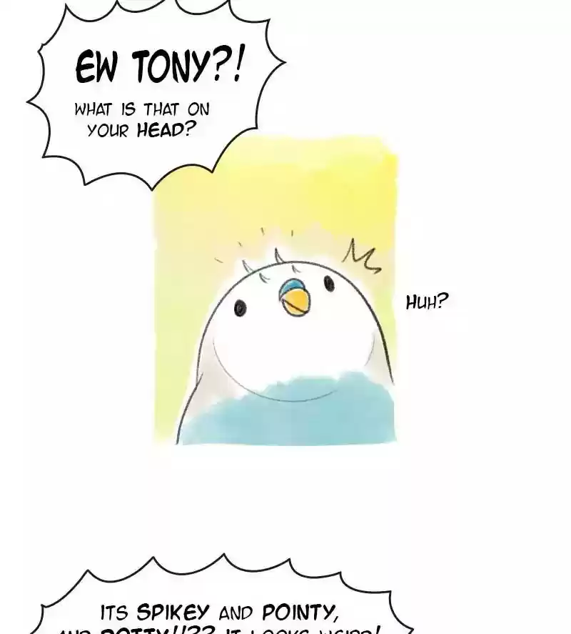 A Budgie's Life Chapter 16: Ep.16: