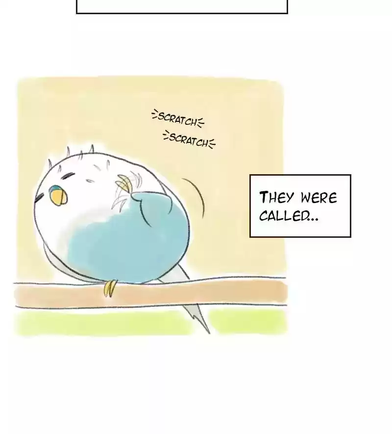 A Budgie's Life Chapter 16: Ep.16: