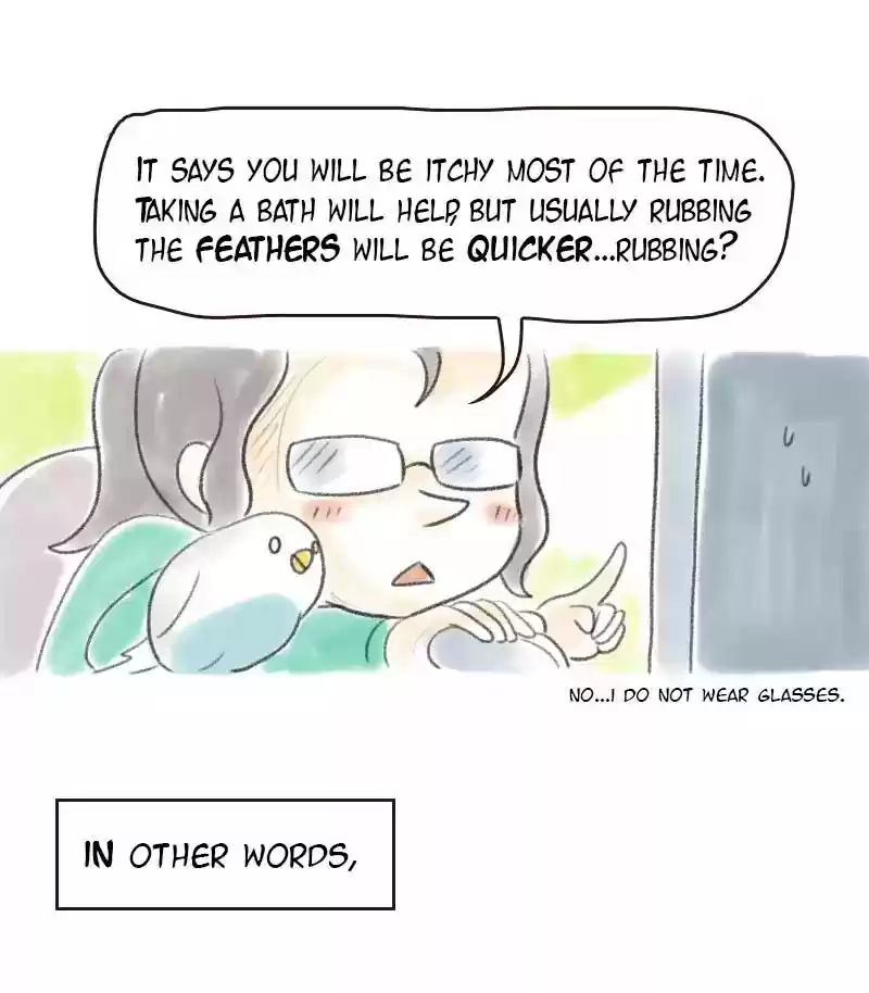 A Budgie's Life Chapter 16: Ep.16: