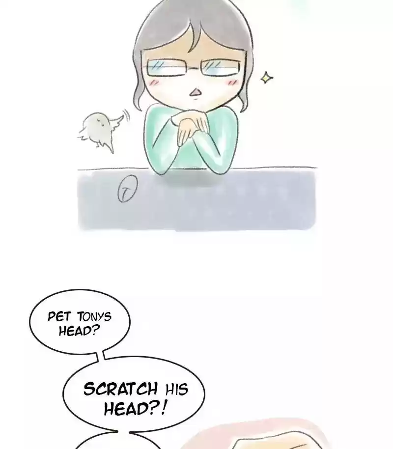 A Budgie's Life Chapter 16: Ep.16: