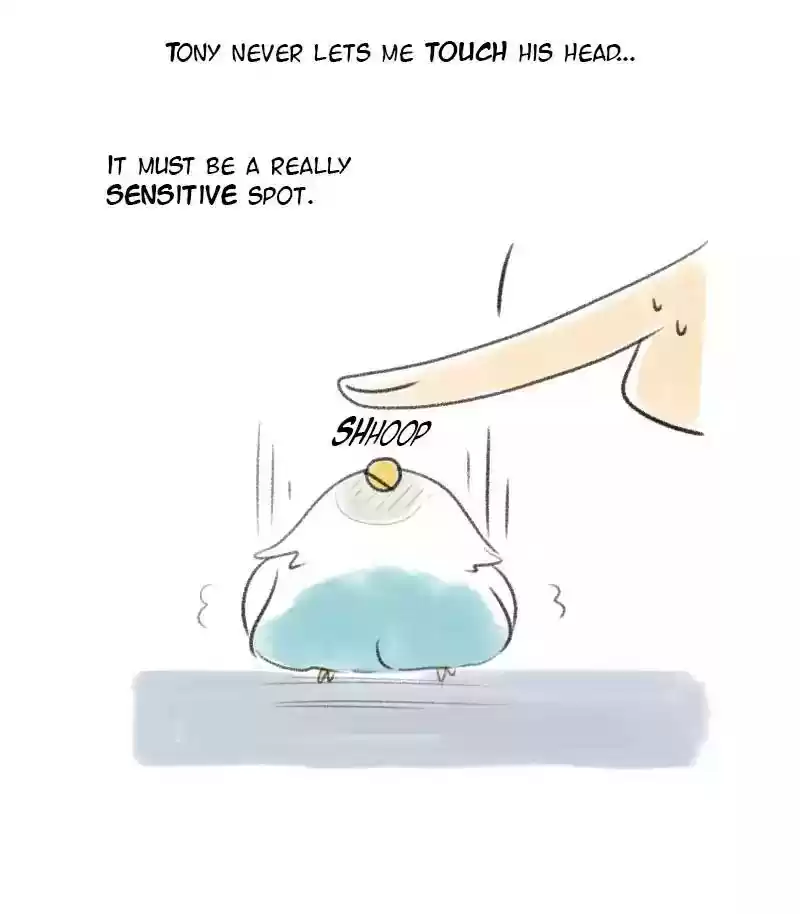 A Budgie's Life Chapter 16: Ep.16: