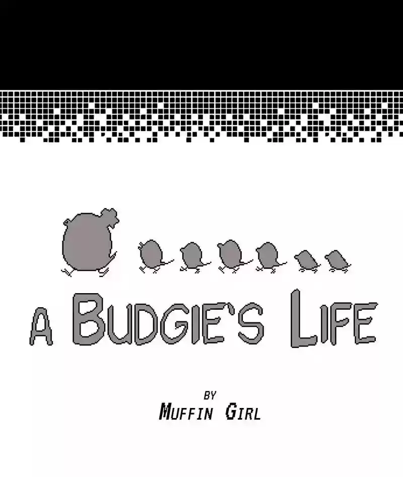 A Budgie's Life Chapter 160: Ep.159: