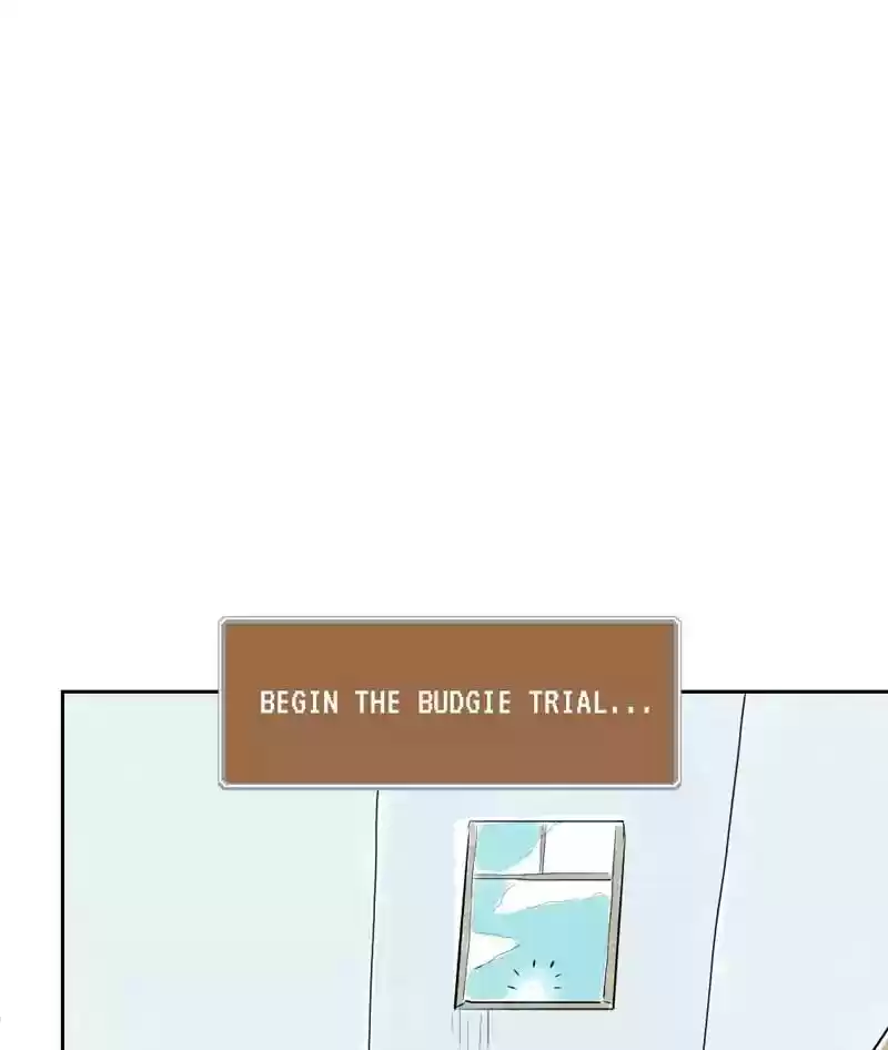 A Budgie's Life Chapter 160: Ep.159: