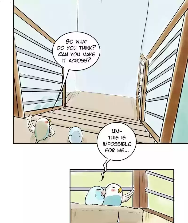 A Budgie's Life Chapter 160: Ep.159: