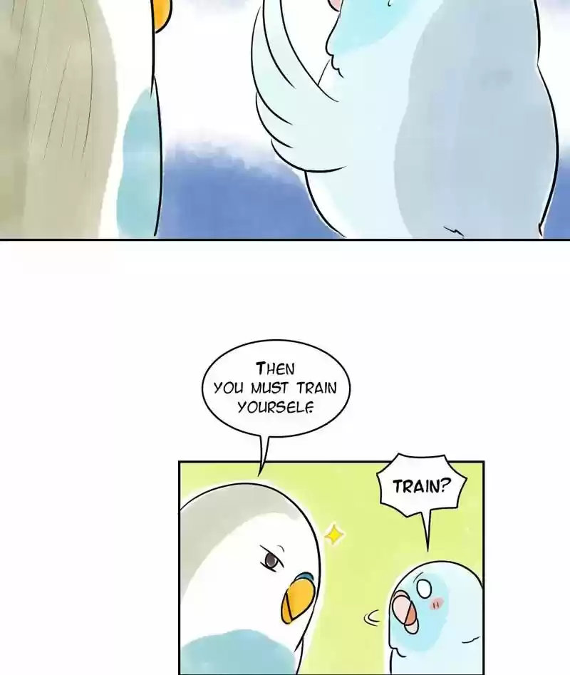 A Budgie's Life Chapter 160: Ep.159: