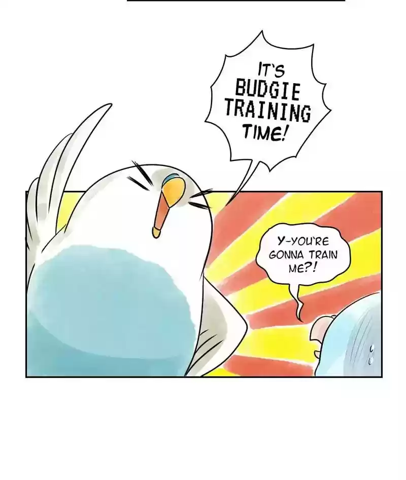 A Budgie's Life Chapter 160: Ep.159: