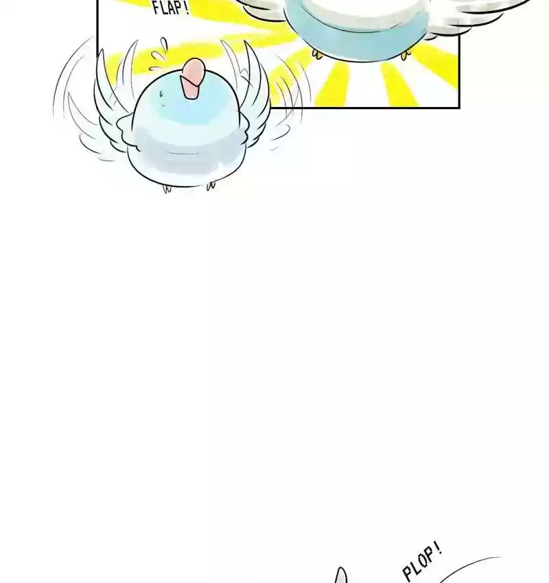 A Budgie's Life Chapter 160: Ep.159: