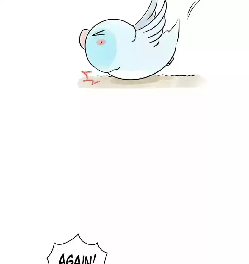 A Budgie's Life Chapter 160: Ep.159: