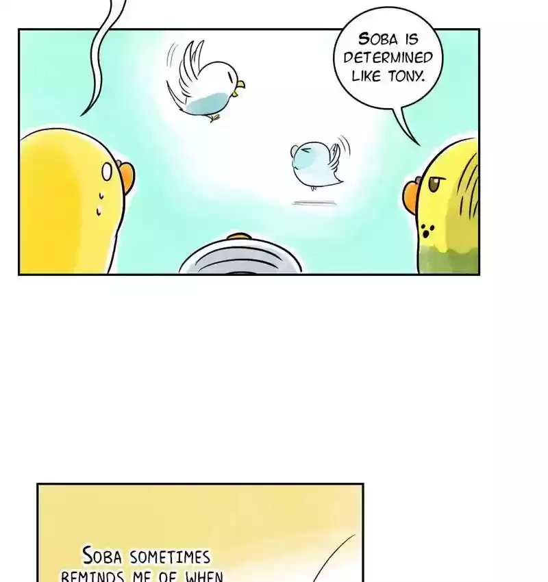 A Budgie's Life Chapter 160: Ep.159: