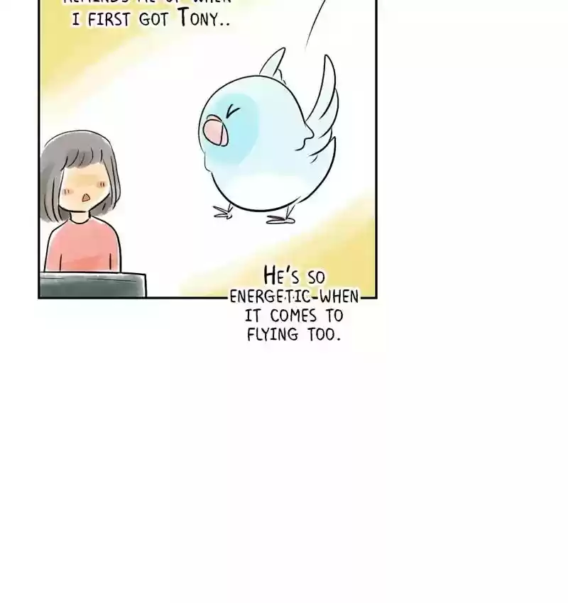 A Budgie's Life Chapter 160: Ep.159:
