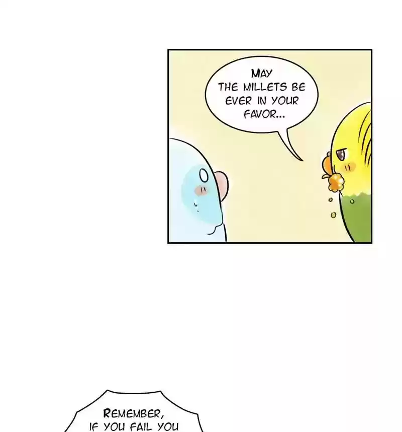 A Budgie's Life Chapter 160: Ep.159: