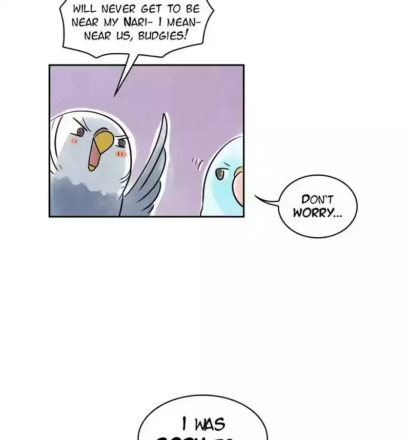 A Budgie's Life Chapter 160: Ep.159: