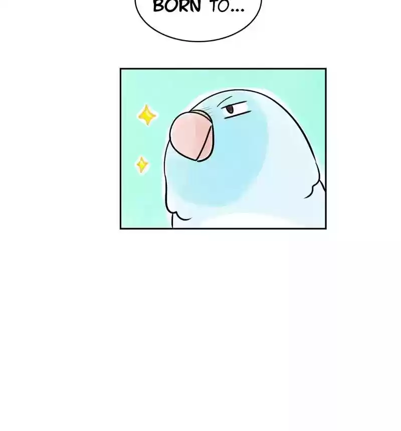 A Budgie's Life Chapter 160: Ep.159: