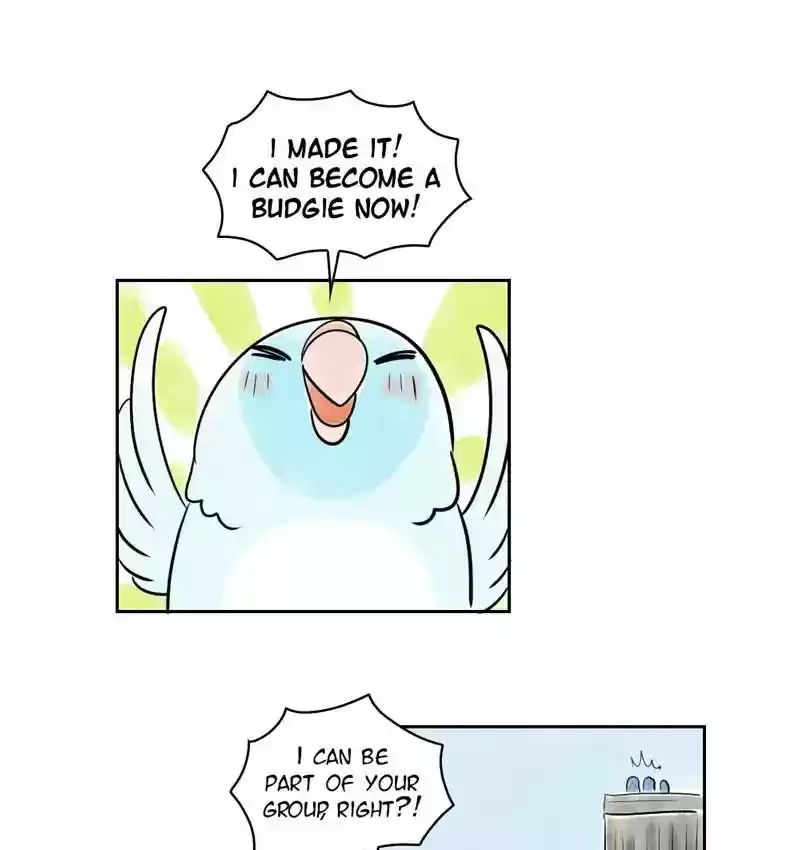 A Budgie's Life Chapter 160: Ep.159: