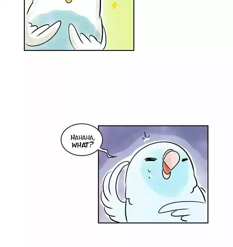 A Budgie's Life Chapter 160: Ep.159: