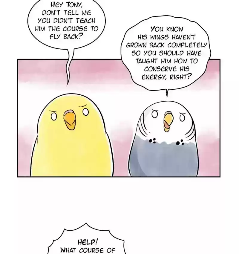 A Budgie's Life Chapter 160: Ep.159: