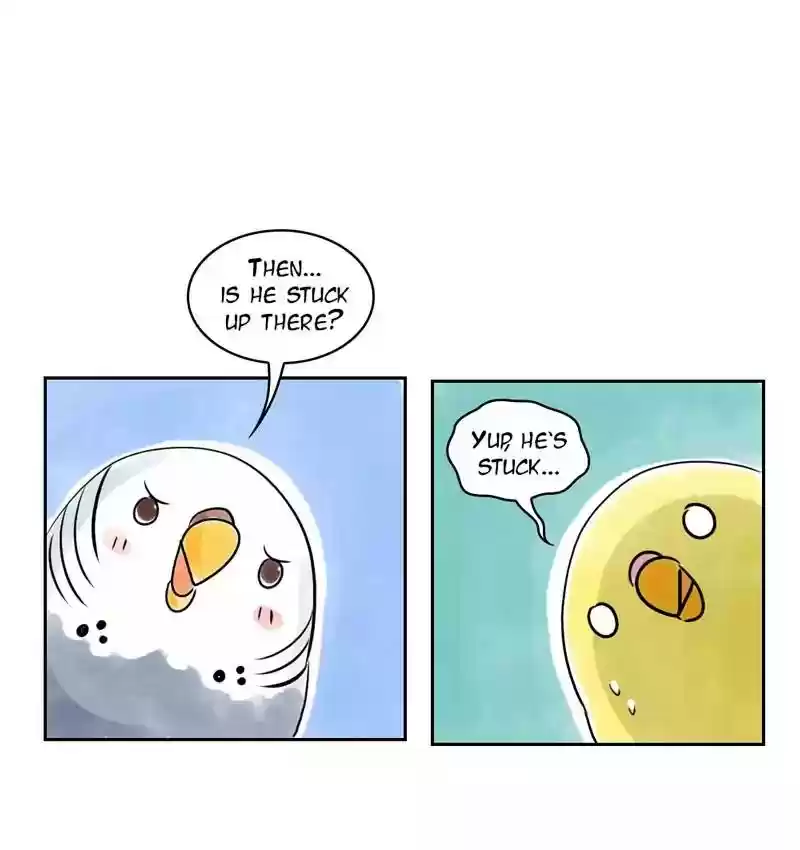 A Budgie's Life Chapter 160: Ep.159: