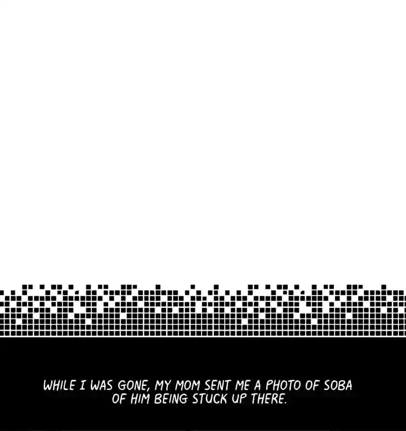 A Budgie's Life Chapter 160: Ep.159: