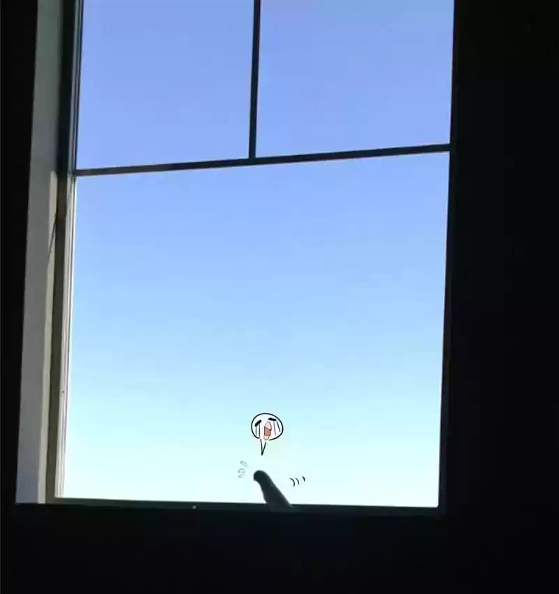 A Budgie's Life Chapter 160: Ep.159: