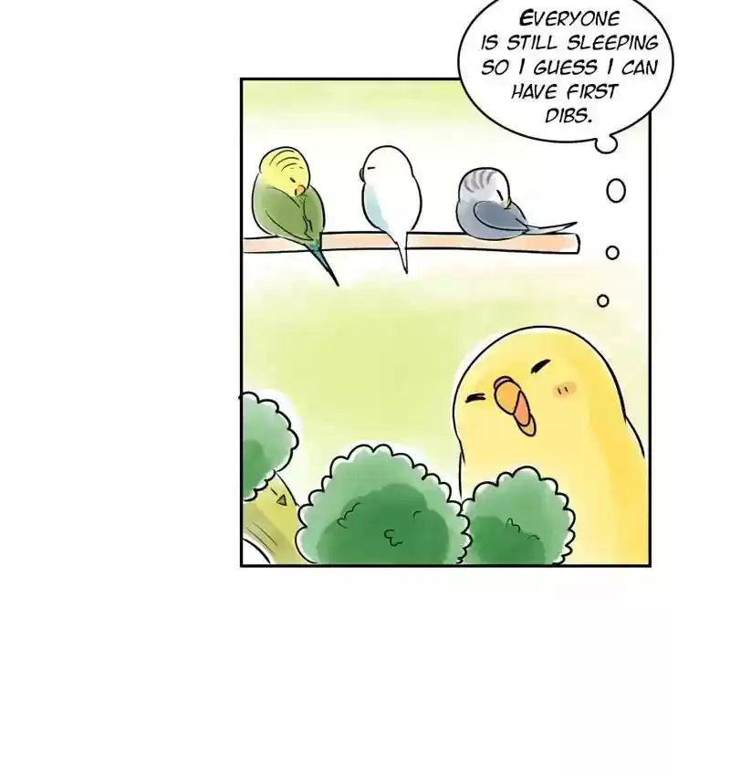 A Budgie's Life Chapter 161: Ep.160: