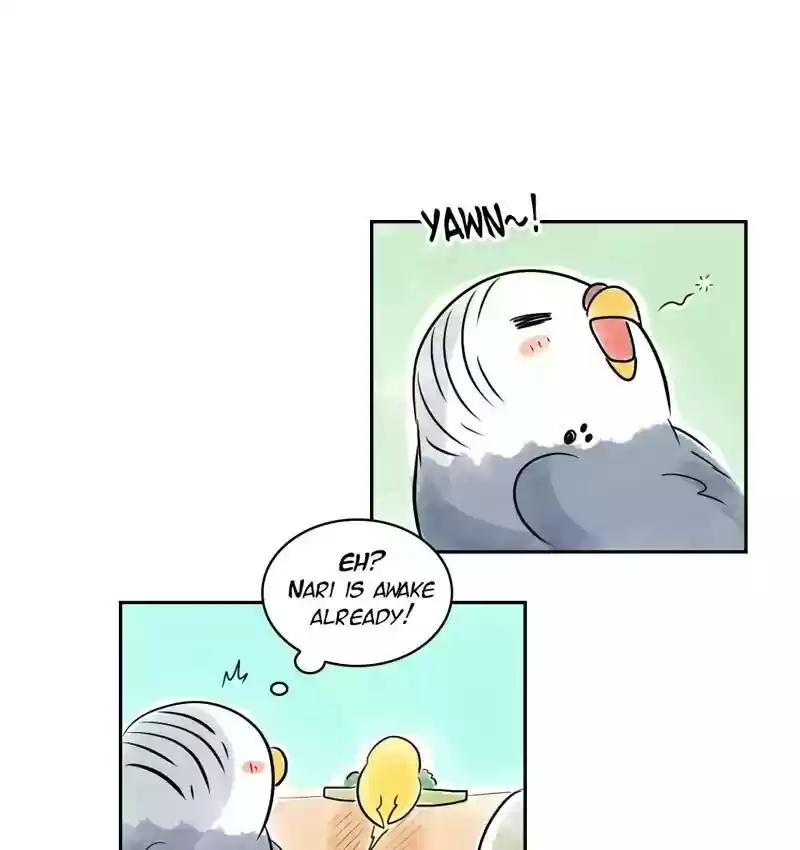 A Budgie's Life Chapter 161: Ep.160:
