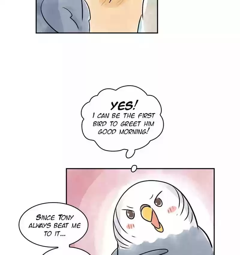A Budgie's Life Chapter 161: Ep.160: