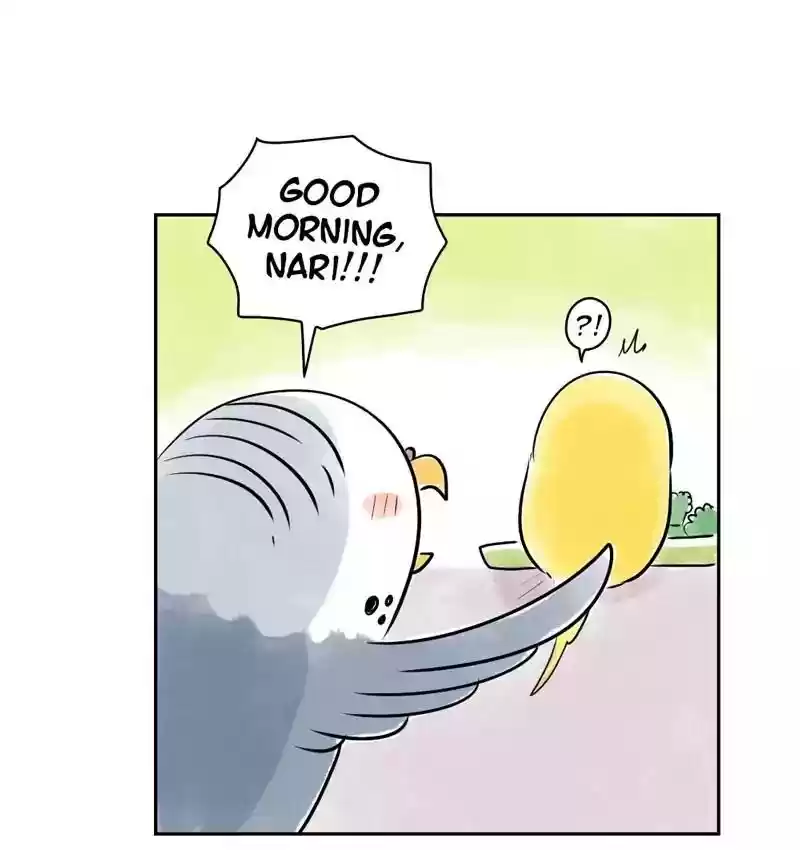 A Budgie's Life Chapter 161: Ep.160: