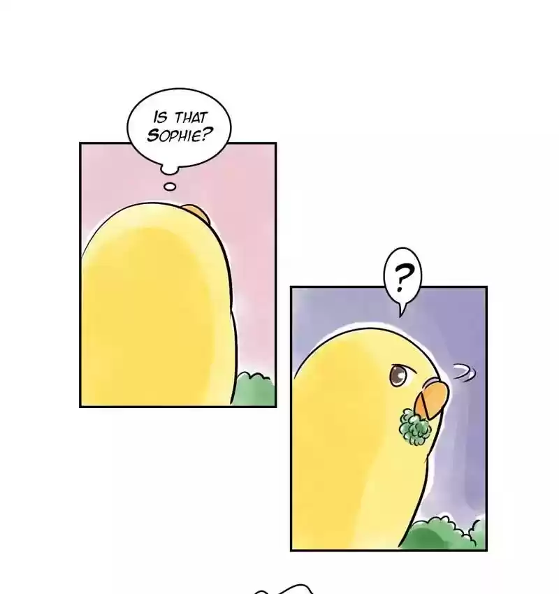 A Budgie's Life Chapter 161: Ep.160: